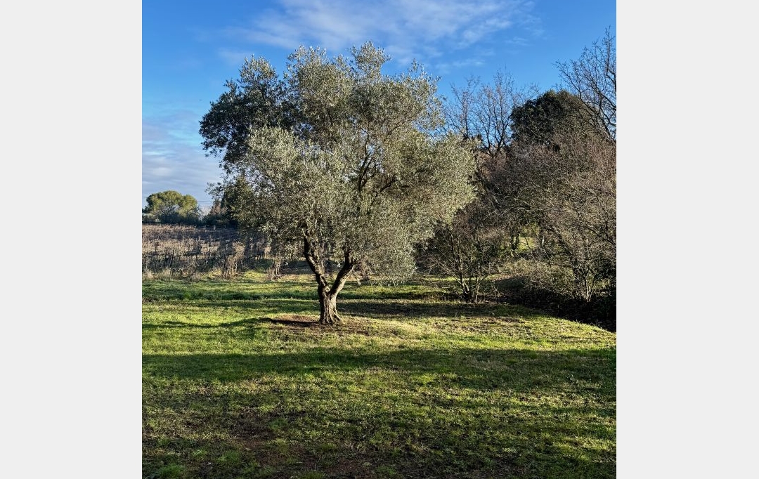 Annonces VENELLES : Maison / Villa | VENELLES (13770) | 136 m2 | 1 935 &euro; 